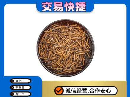 庆阳环县高价回收散虫草